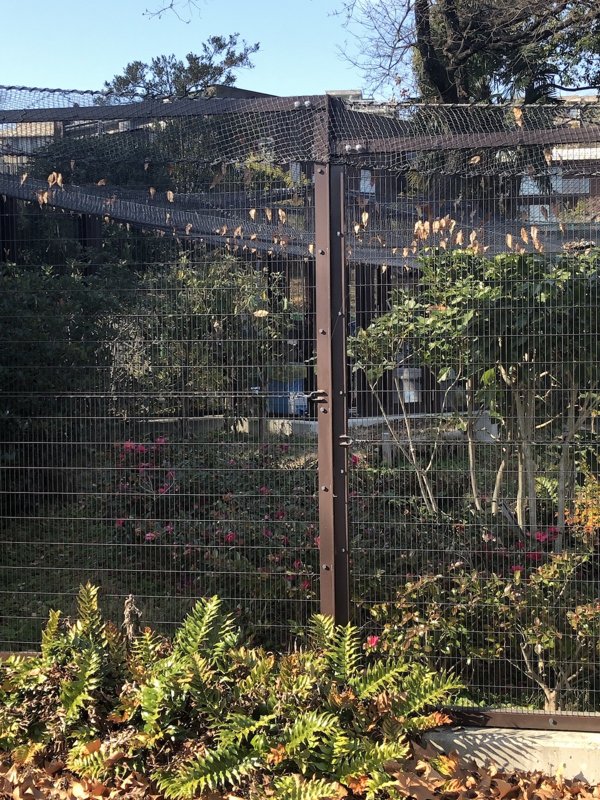 悩ましい・・・フェンス・網の種類 ニュース詳細 株式会社コトトマ